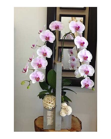 As Shown size, inches height and inches wide.